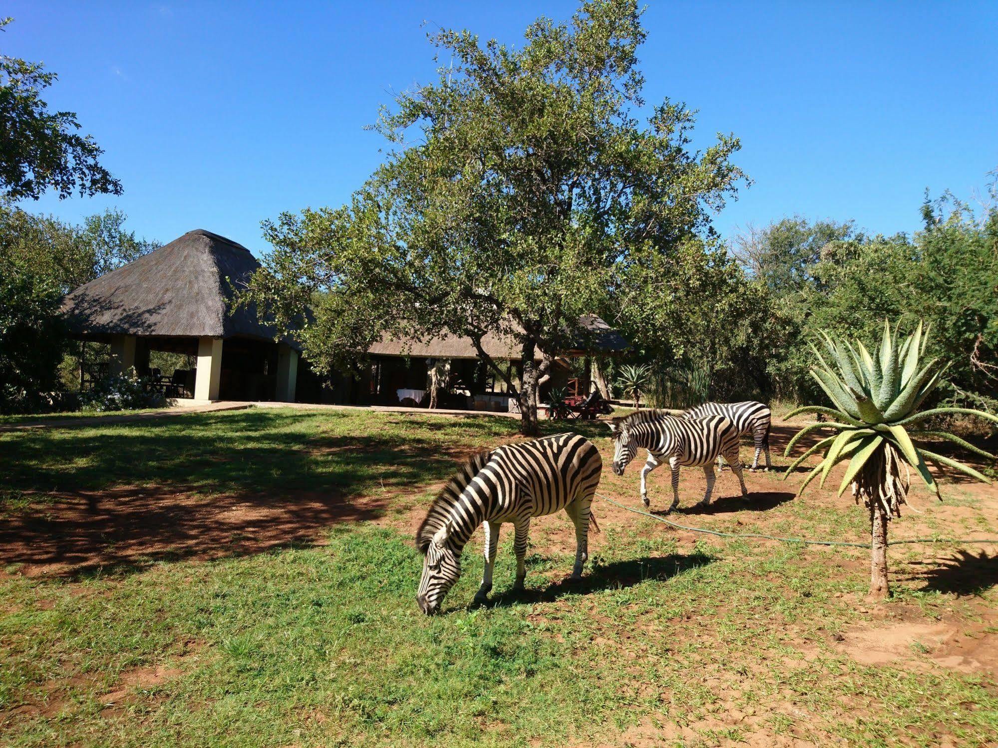 Royal Kruger Lodge Marloth Park Exteriör bild