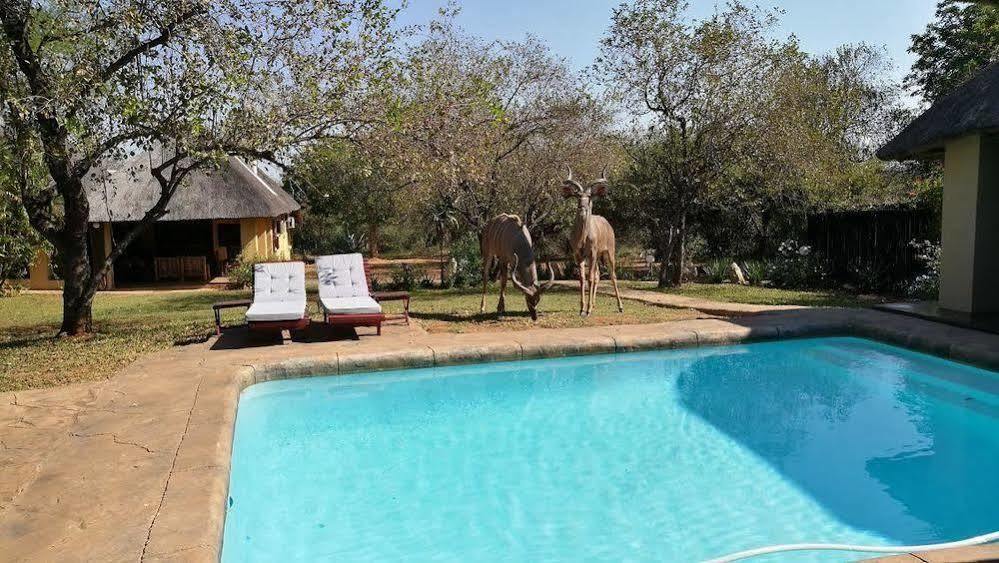 Royal Kruger Lodge Marloth Park Exteriör bild